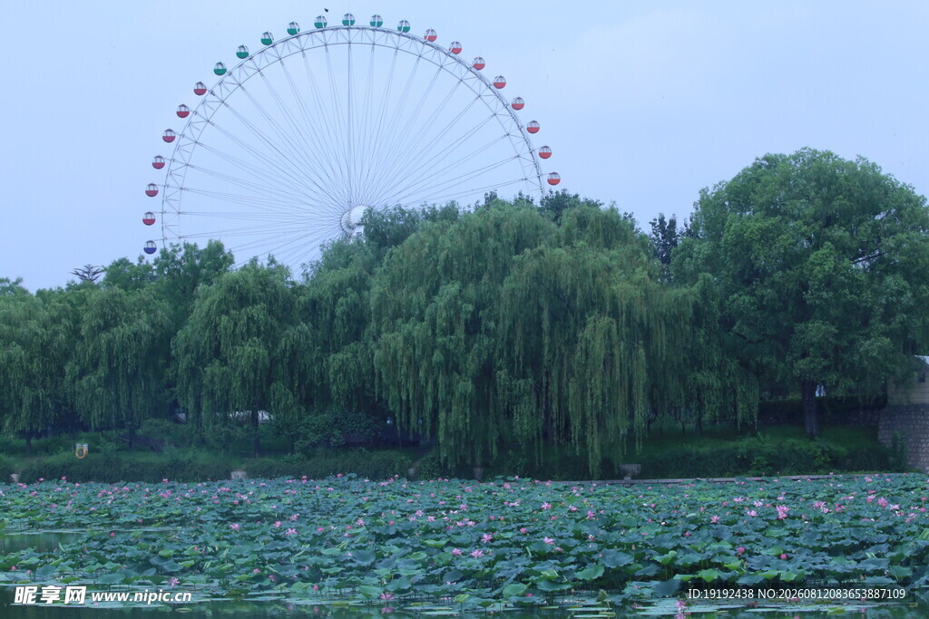 公园风景  