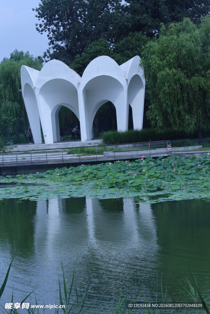 公园风景  