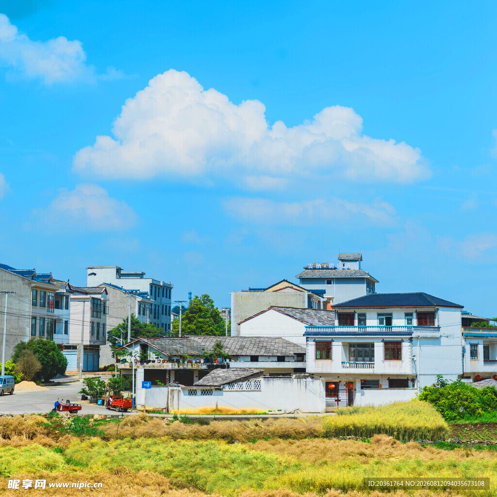 乡村清新景致