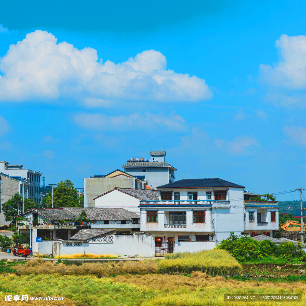 乡村田园景致