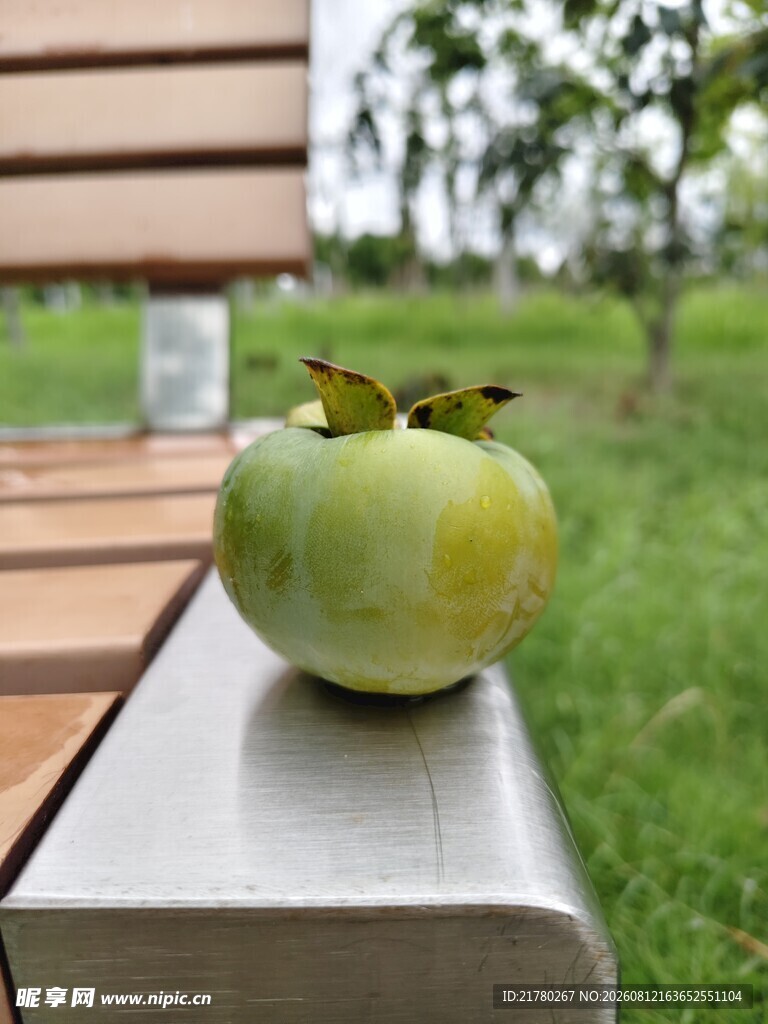 杮子