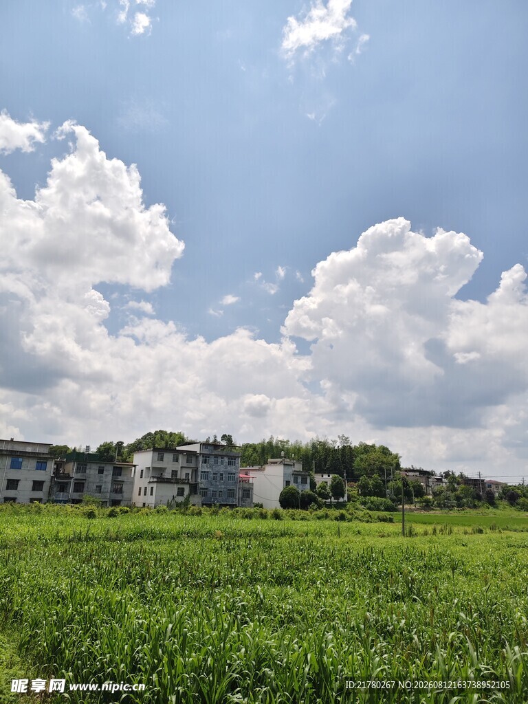 乡村美景