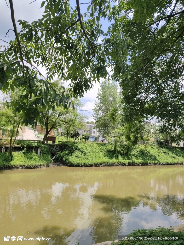 河边绿化