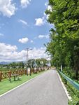 乡村美景