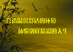 竹林间的诗意生活感悟