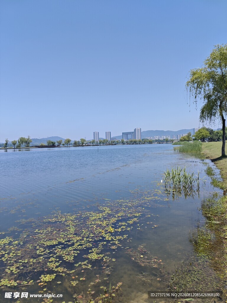 湖畔风光