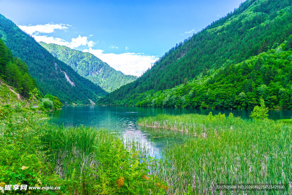 山间翠湖美景