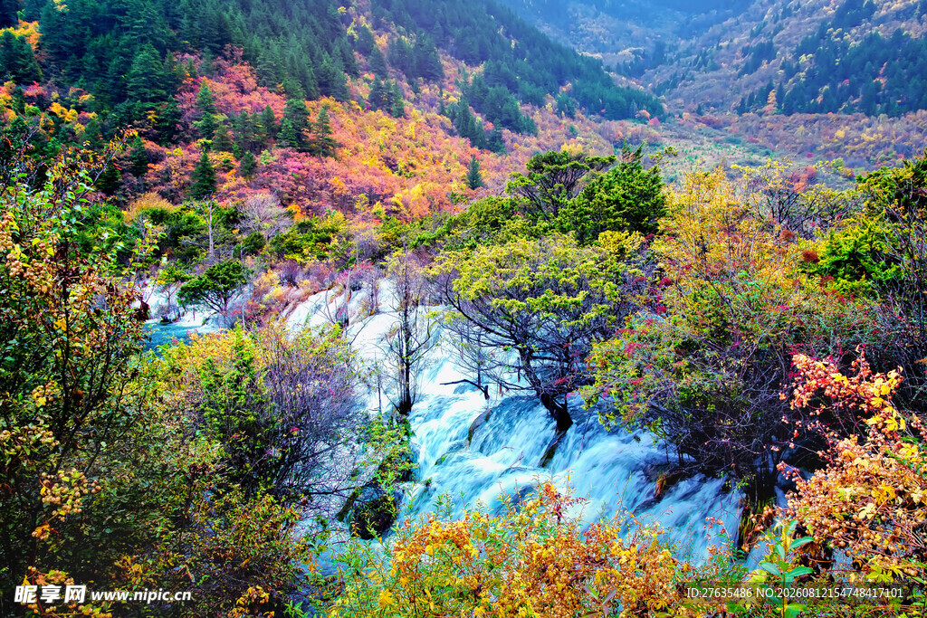 秋日山谷斑斓溪流美景