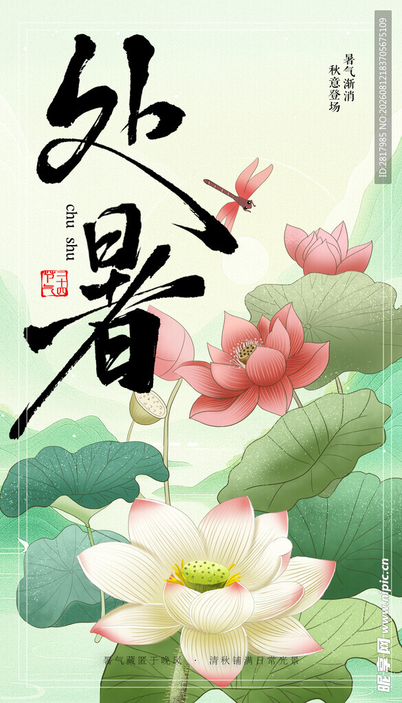 处暑时节荷花绽放