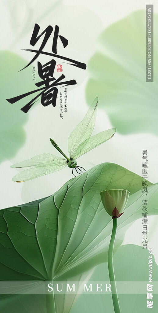 处暑时节蜻蜓立荷叶