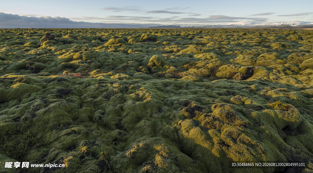 广袤苔原地貌景观