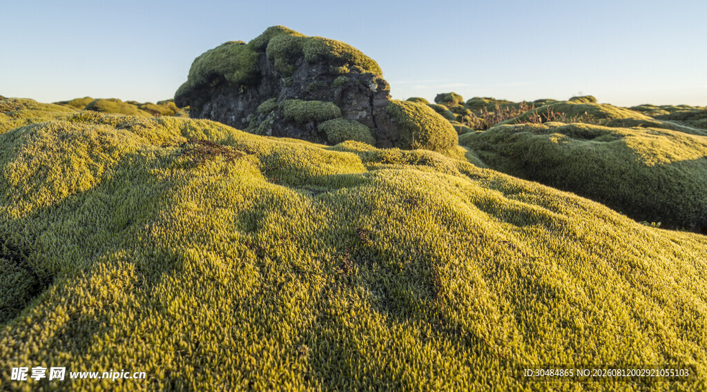 广袤苔原地貌景观
