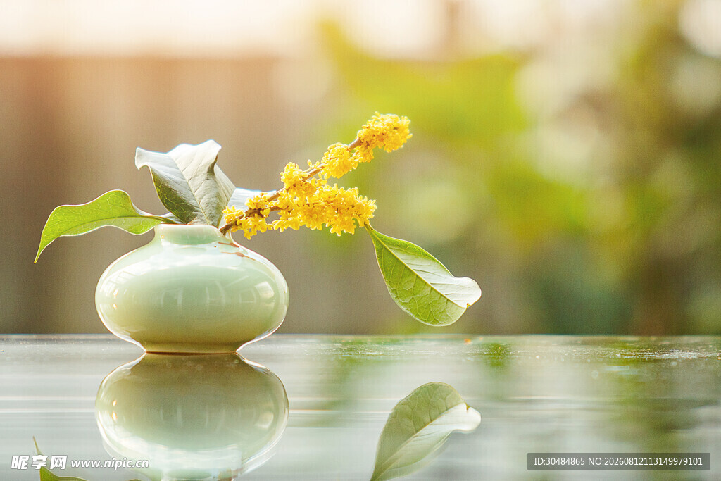 青瓷瓶中插着素雅桂花