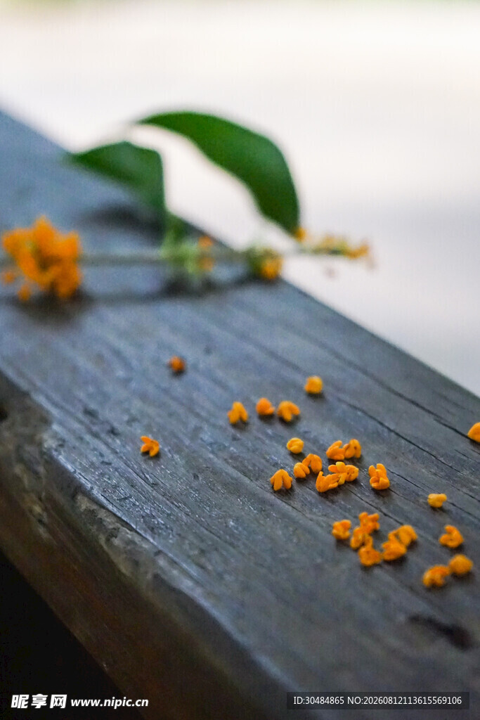 木板上散落的桂花