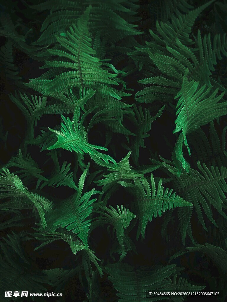 梦幻绿色植物背景图案