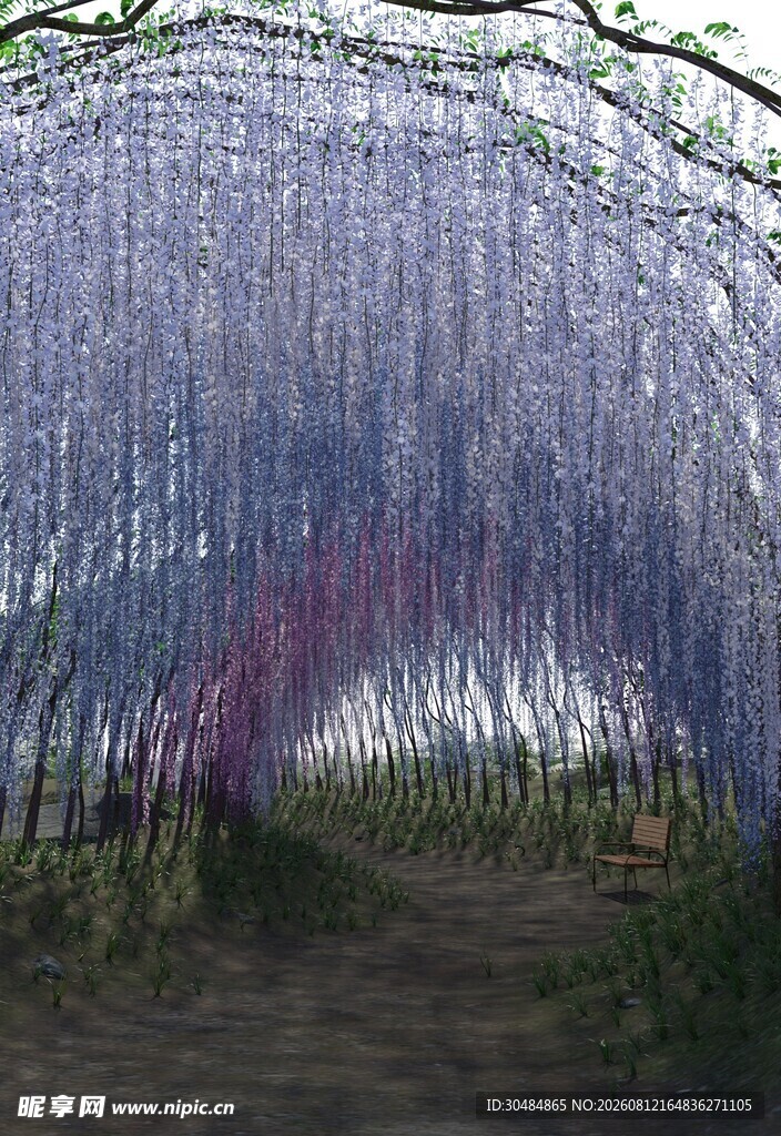梦幻紫藤花隧道美景
