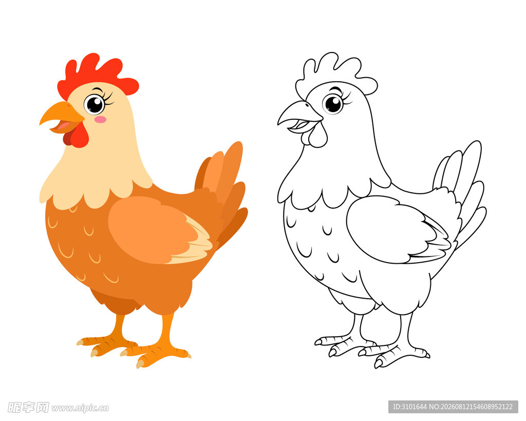 母鸡