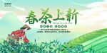 春茶采摘季 新茶正当时