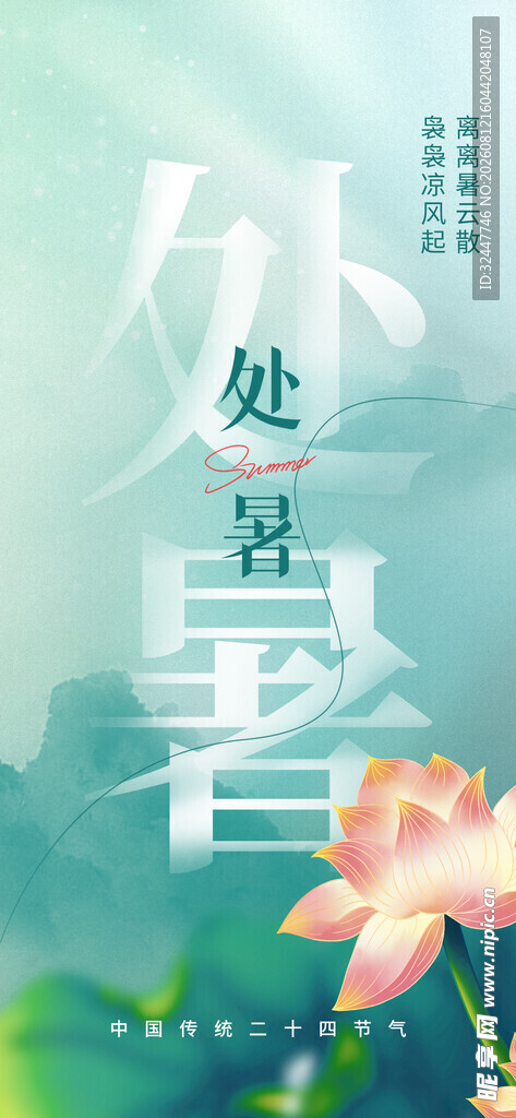 处暑时节荷花绽放