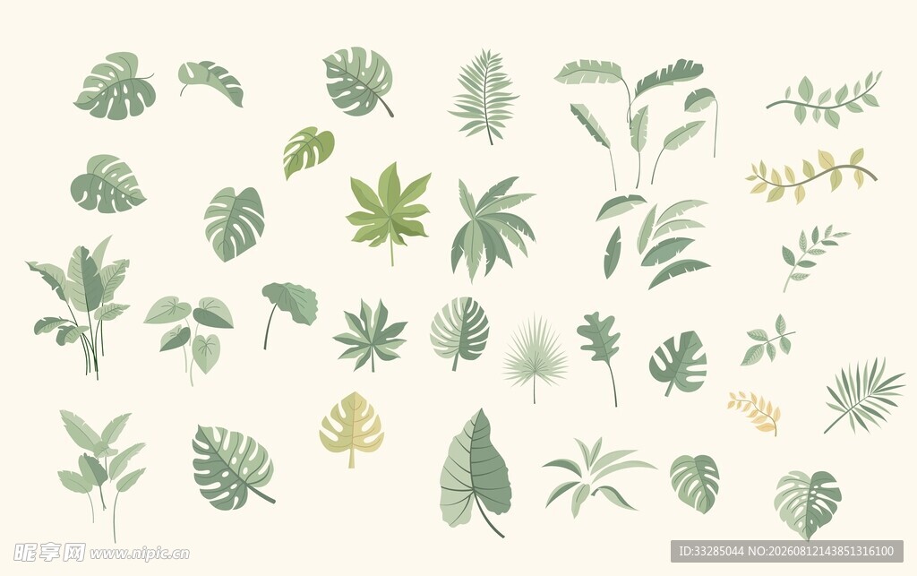 清新绿植素材