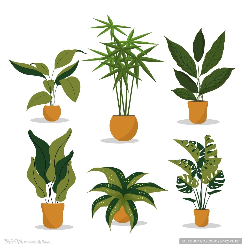 盆栽绿植合集