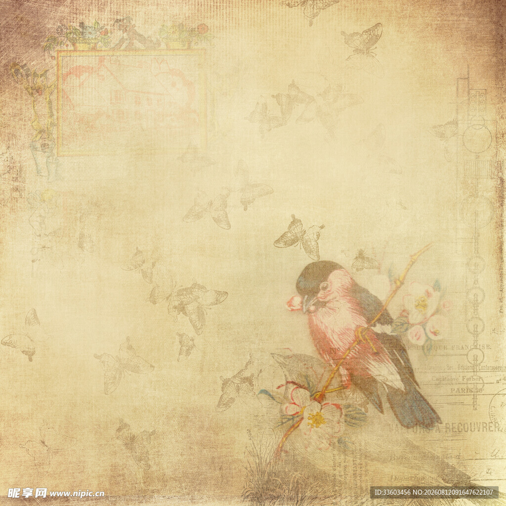 复古风小鸟栖息画面