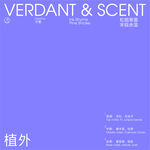 排版