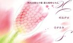 梦幻花卉图案设计素材