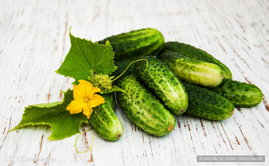 新鲜带花小黄瓜