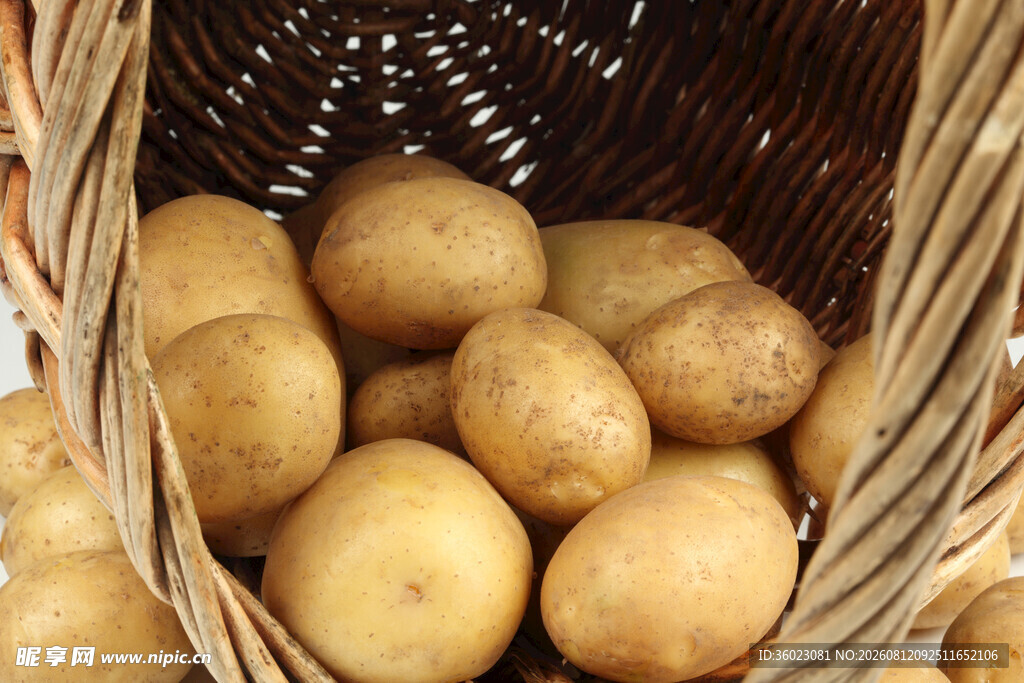 篮子里的新鲜土豆