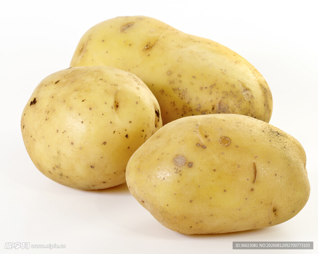 新鲜土豆饱满圆润