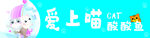 可爱猫咪爱上喵星酸奶