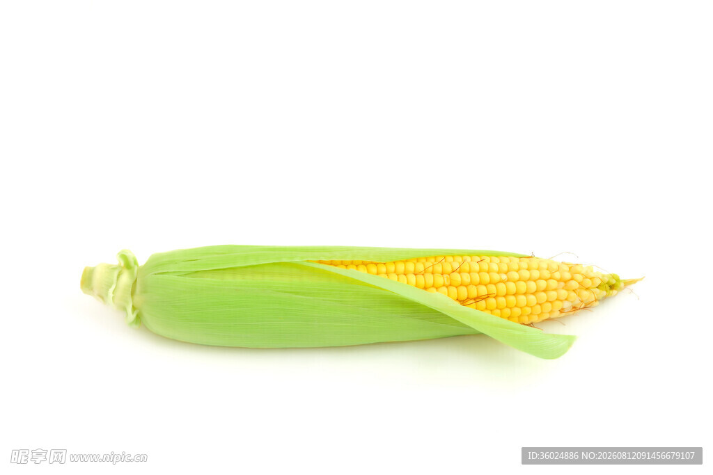 新鲜玉米棒