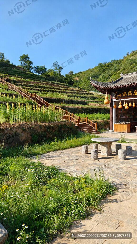 一纸盟约承岐黄 药旅共生康养乡