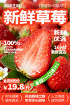 新鲜草莓促销