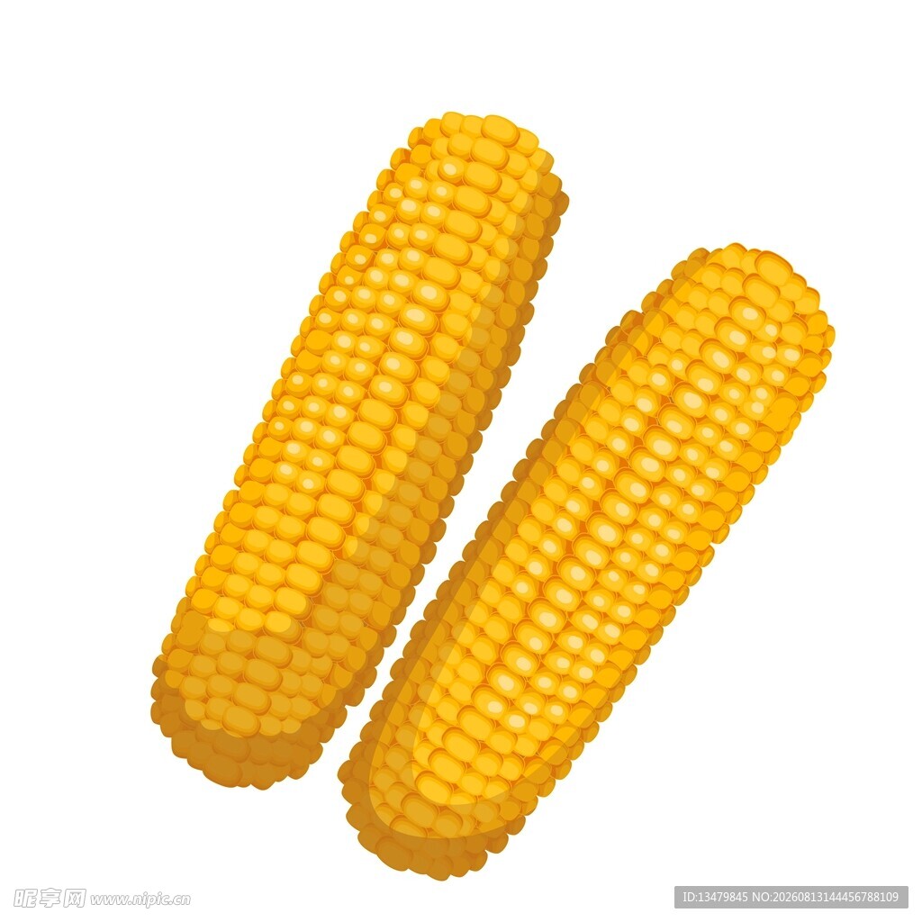 卡通玉米插画