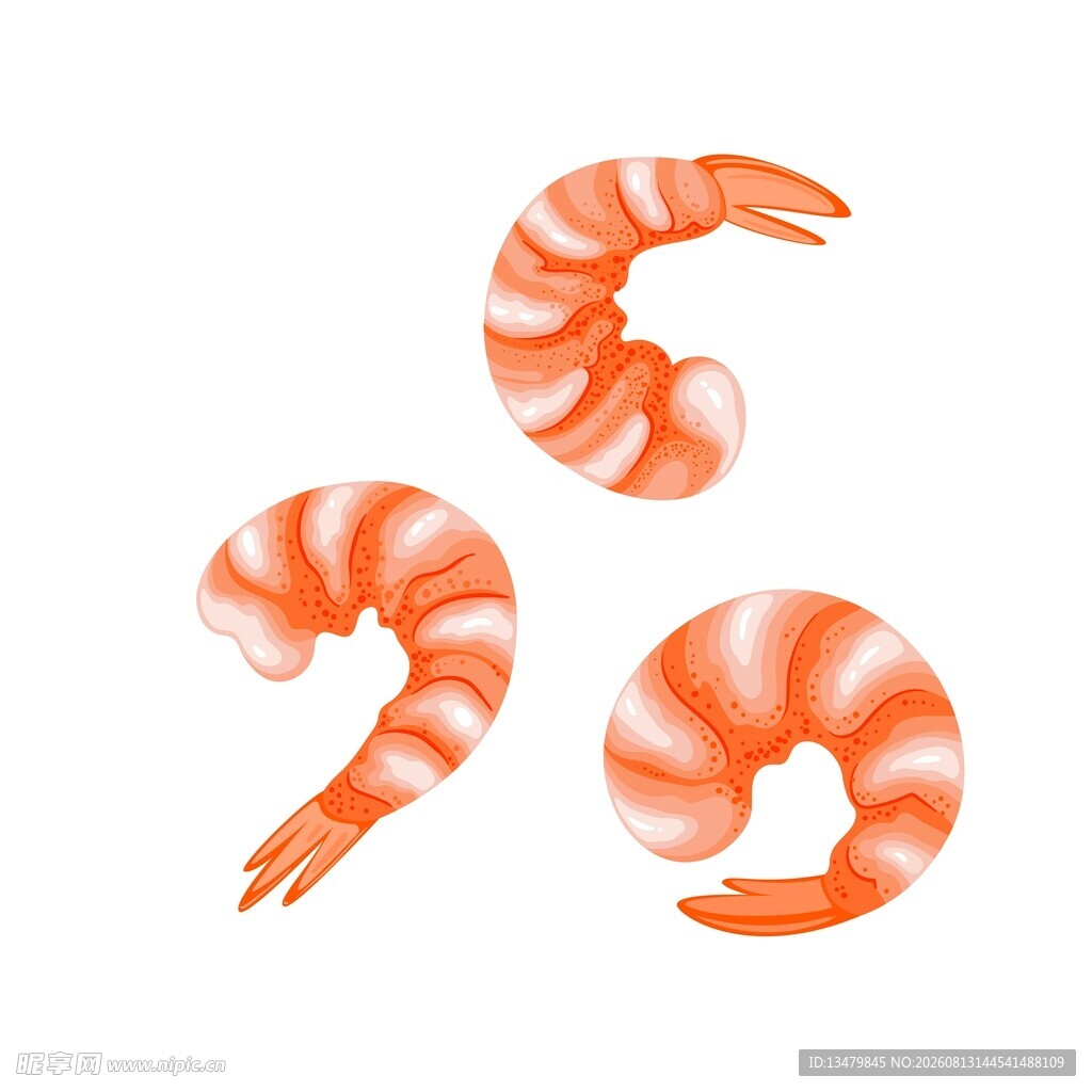 虾仁插画素材