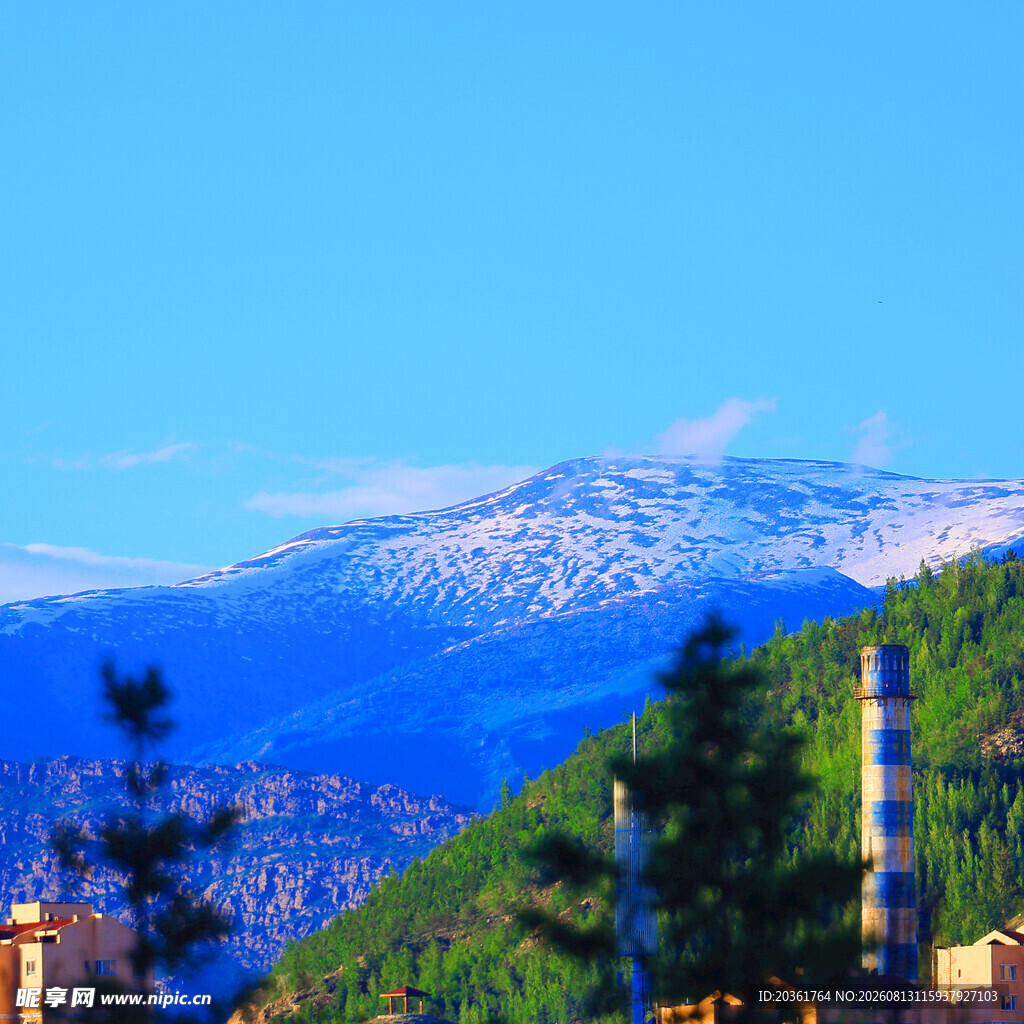 雪山下的山林景致