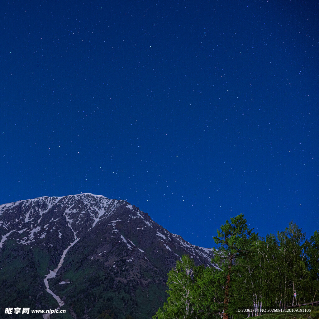 巍峨雪山与葱郁林木景观