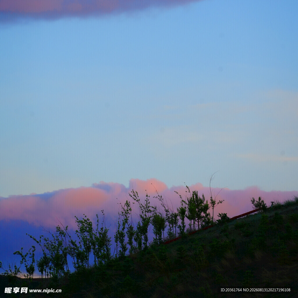 夕阳下的山峦与绿植
