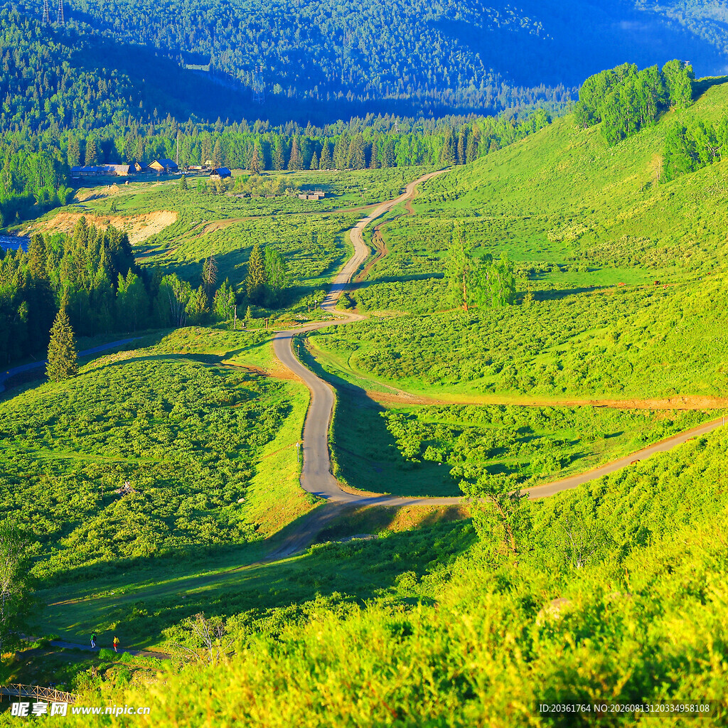 山间绿野蜿蜒小路美景