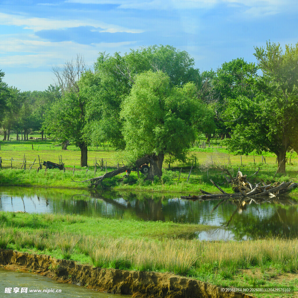 乡村河畔美景