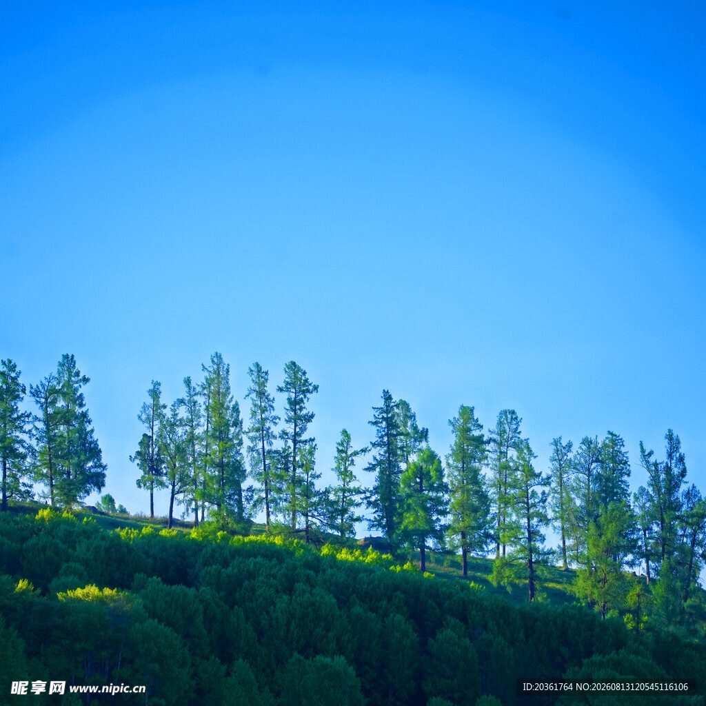 山坡绿树蓝天美景