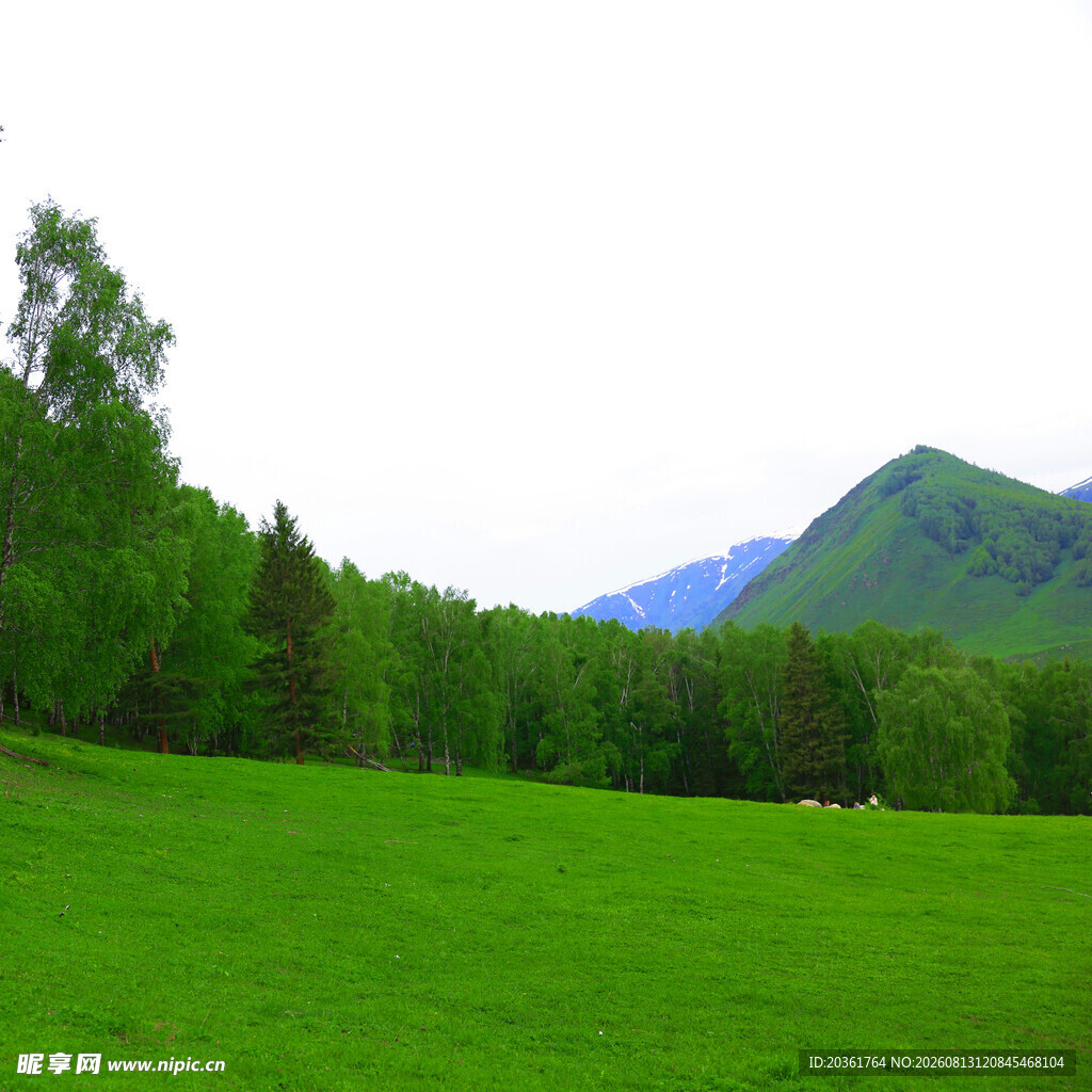 翠绿草原与远处青山美景