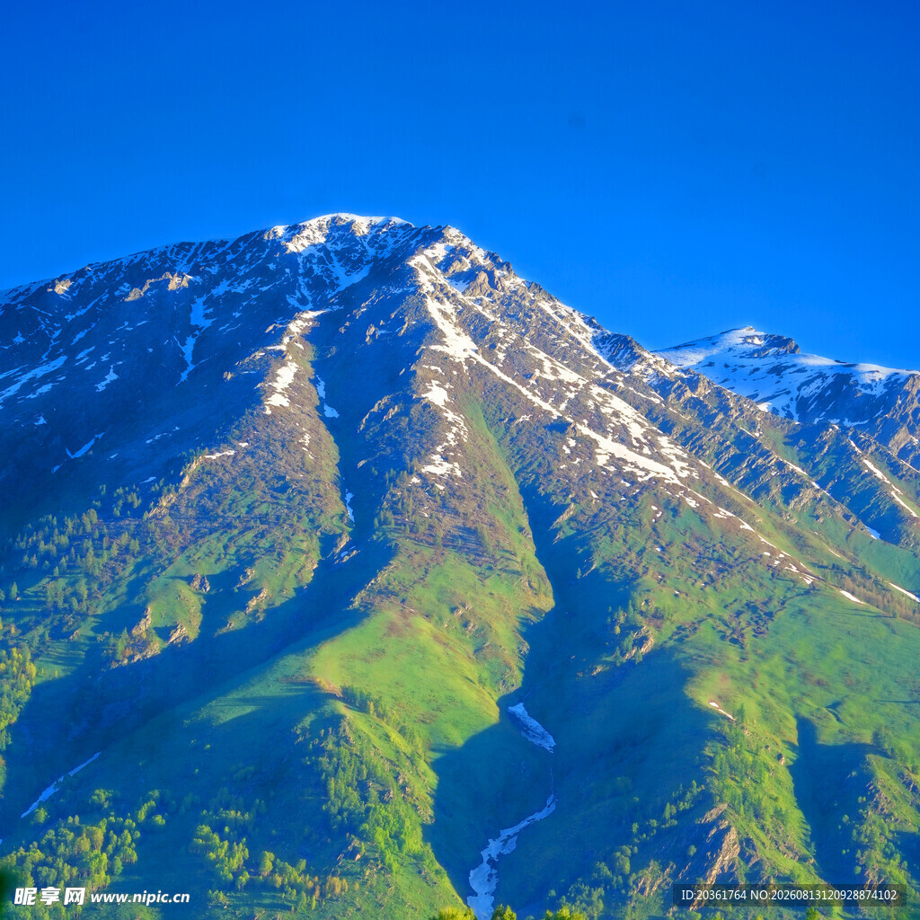 雪山下的翠绿山峦
