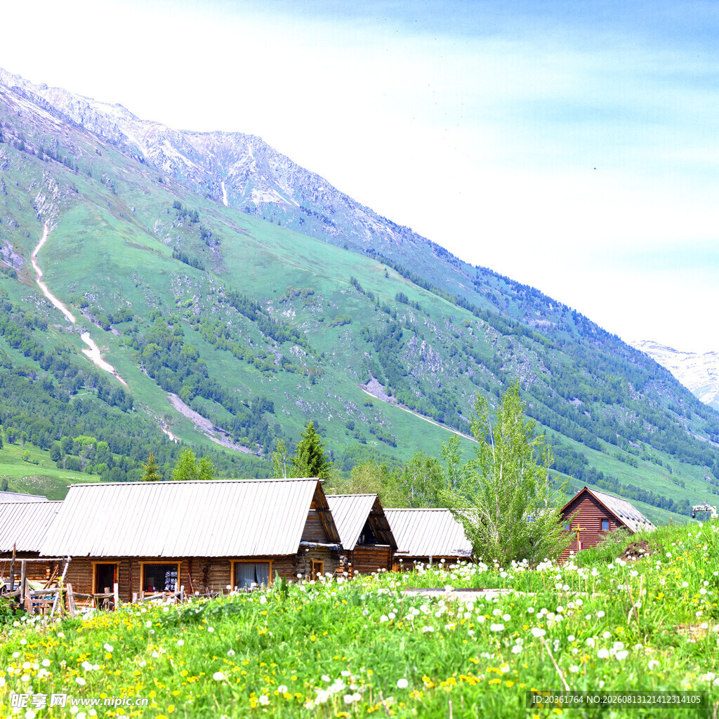 山间木屋旁的绿野美景