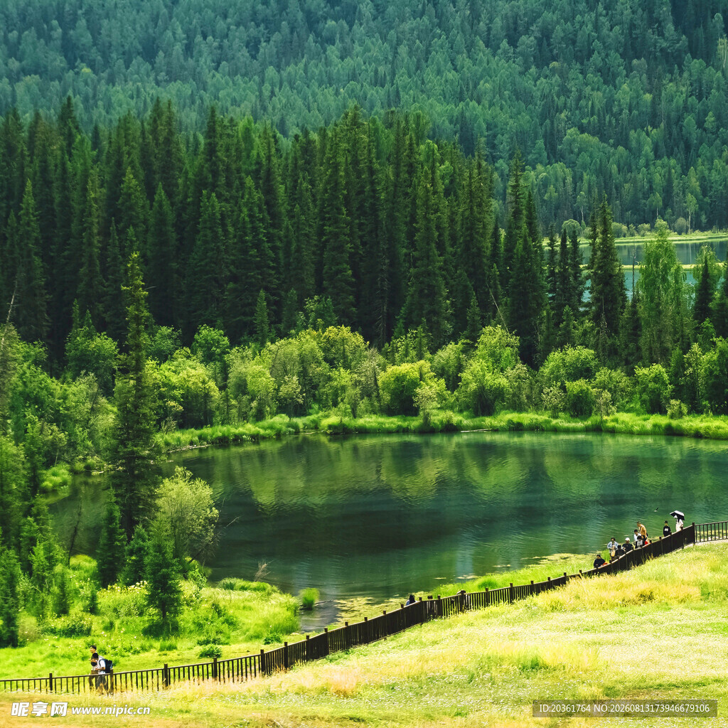 湖畔森林美景