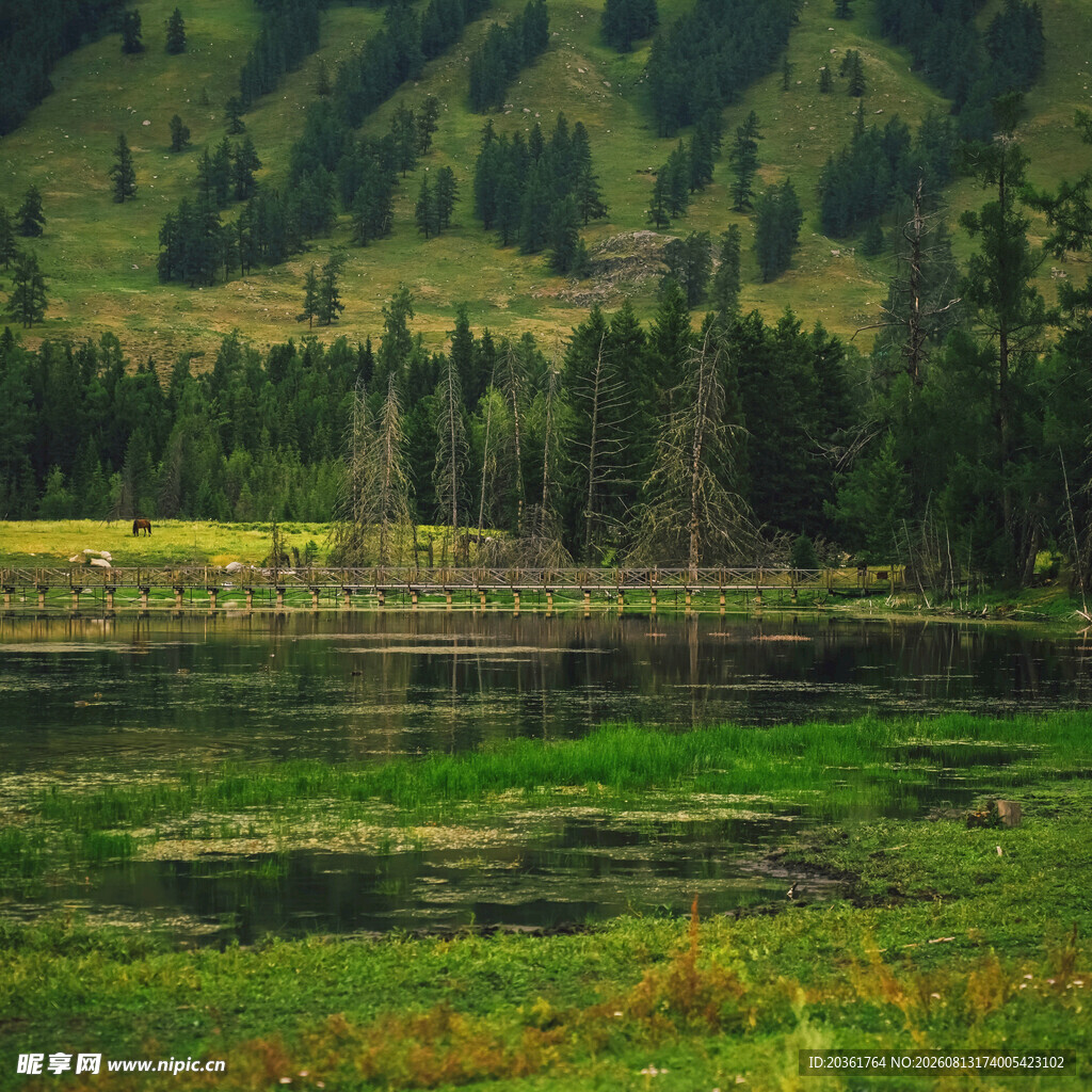 山间湖畔美景