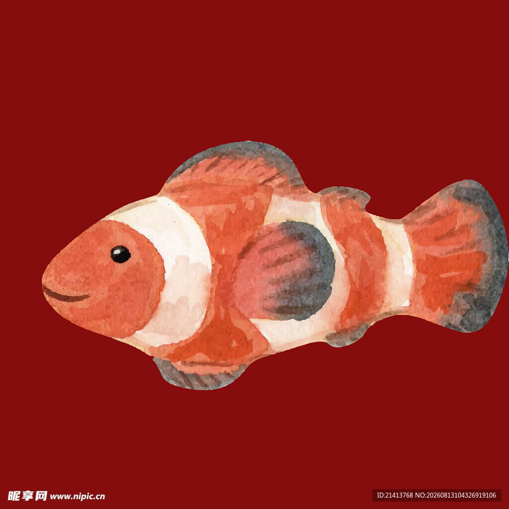 橙白条纹小丑鱼插画
