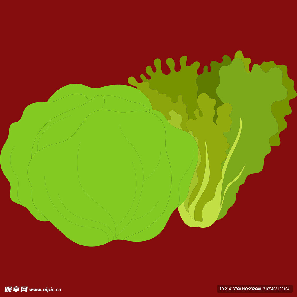 新鲜生菜插画